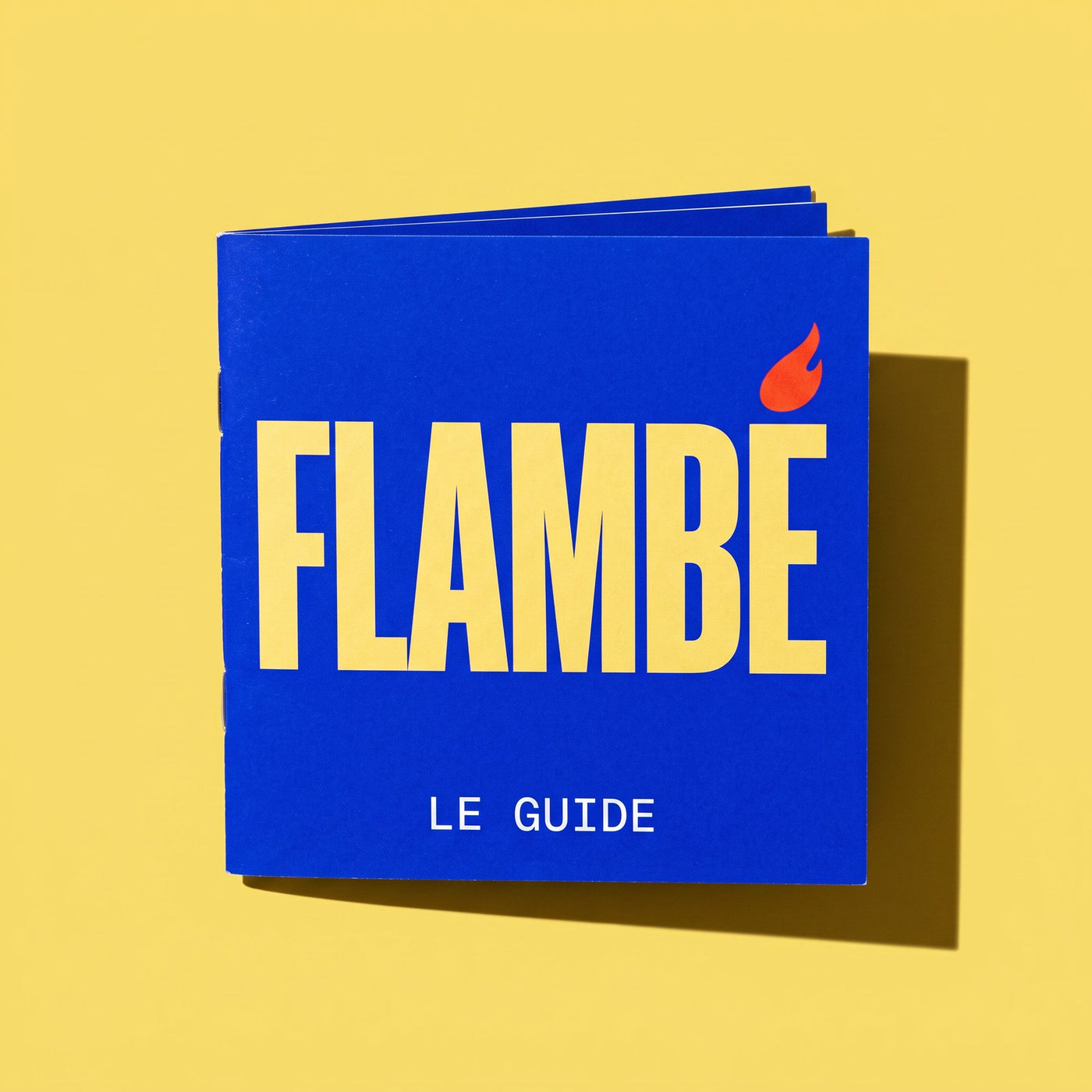 Le guide